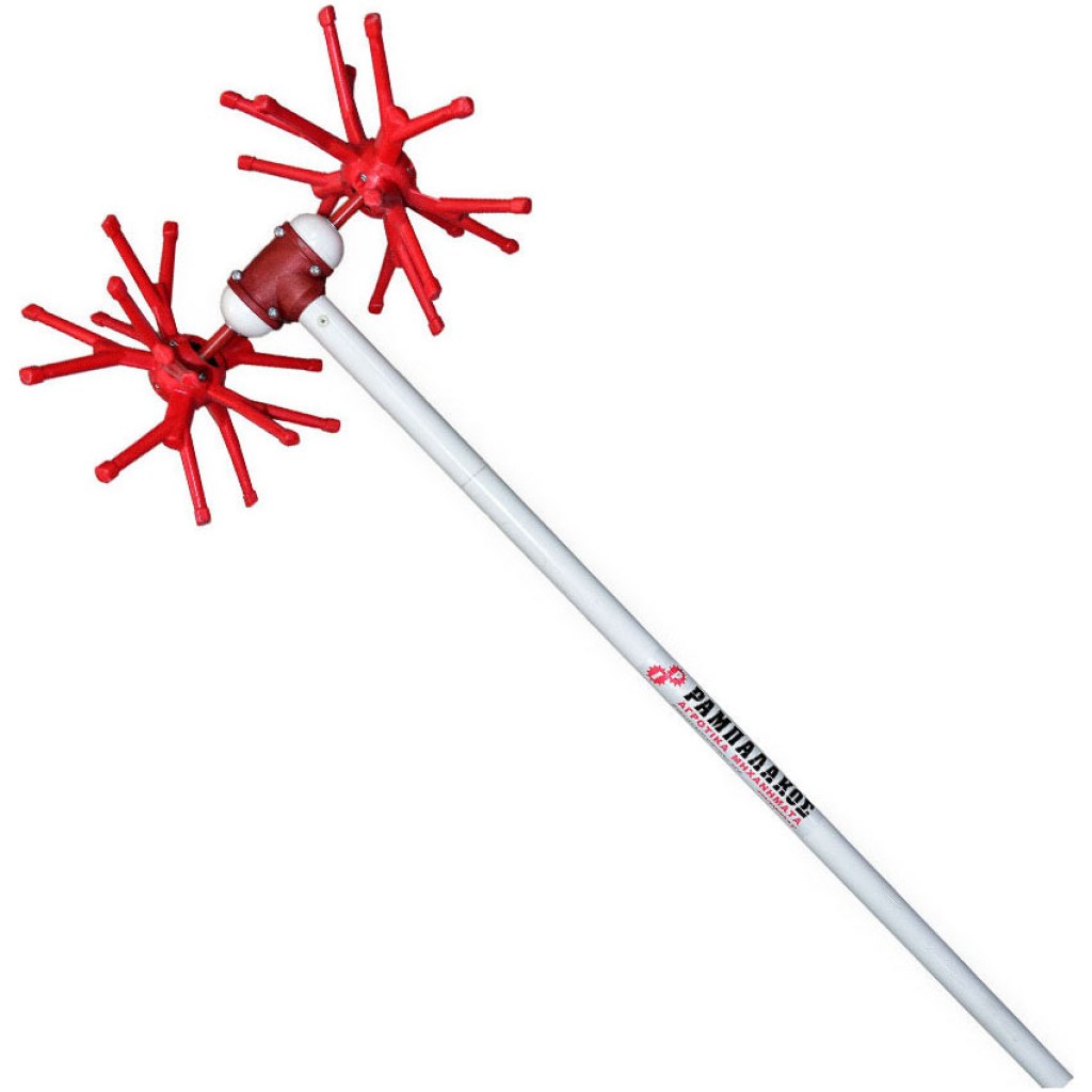 ελαιοραβδιστική-βέργα-παλμική-αχινός-y-16